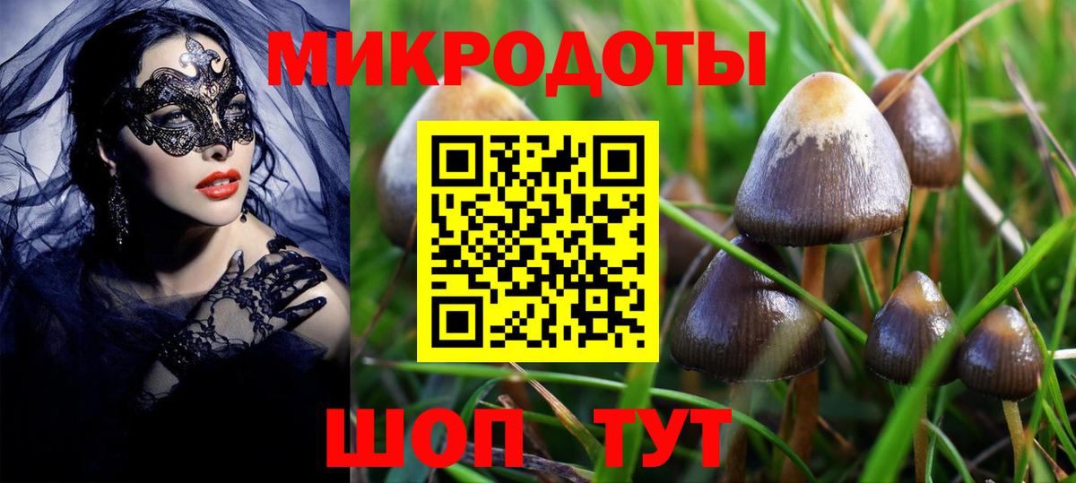 Псилоцибиновые грибы ЛСД Орёл